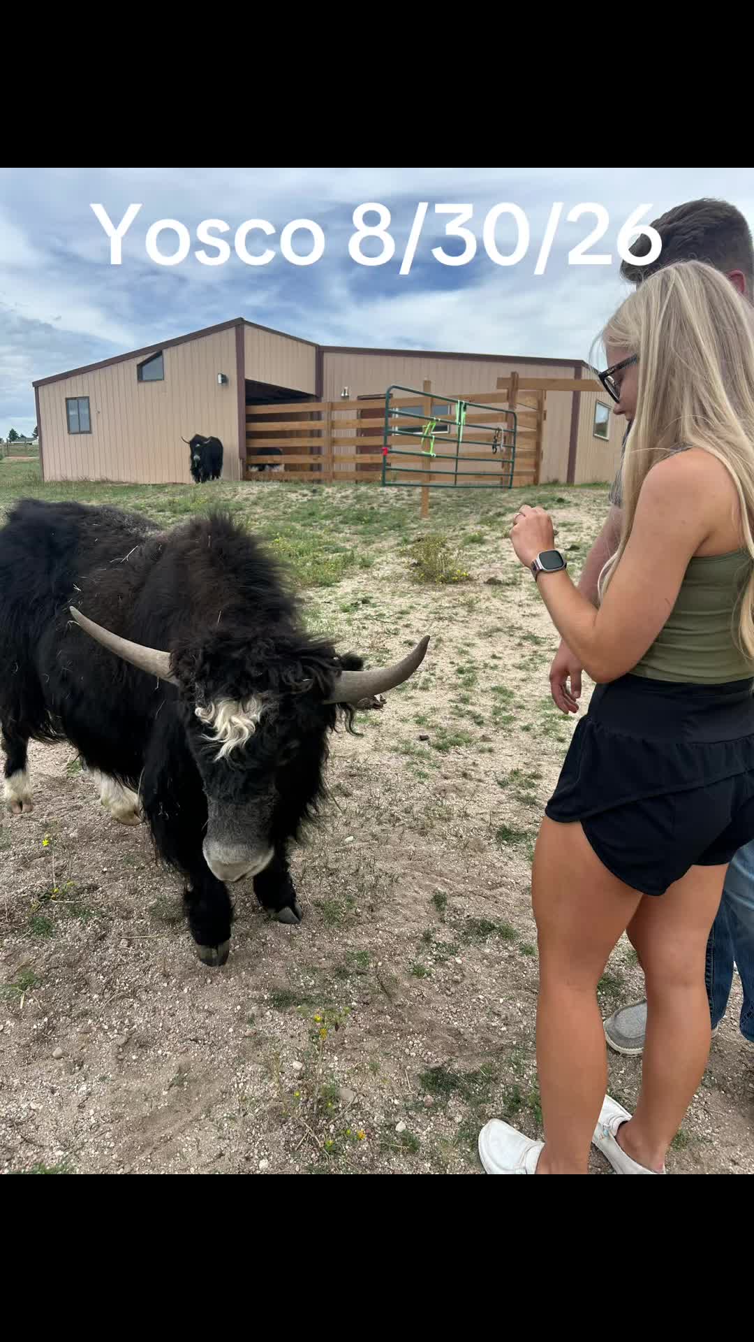 @Yakety Yak Ranch
