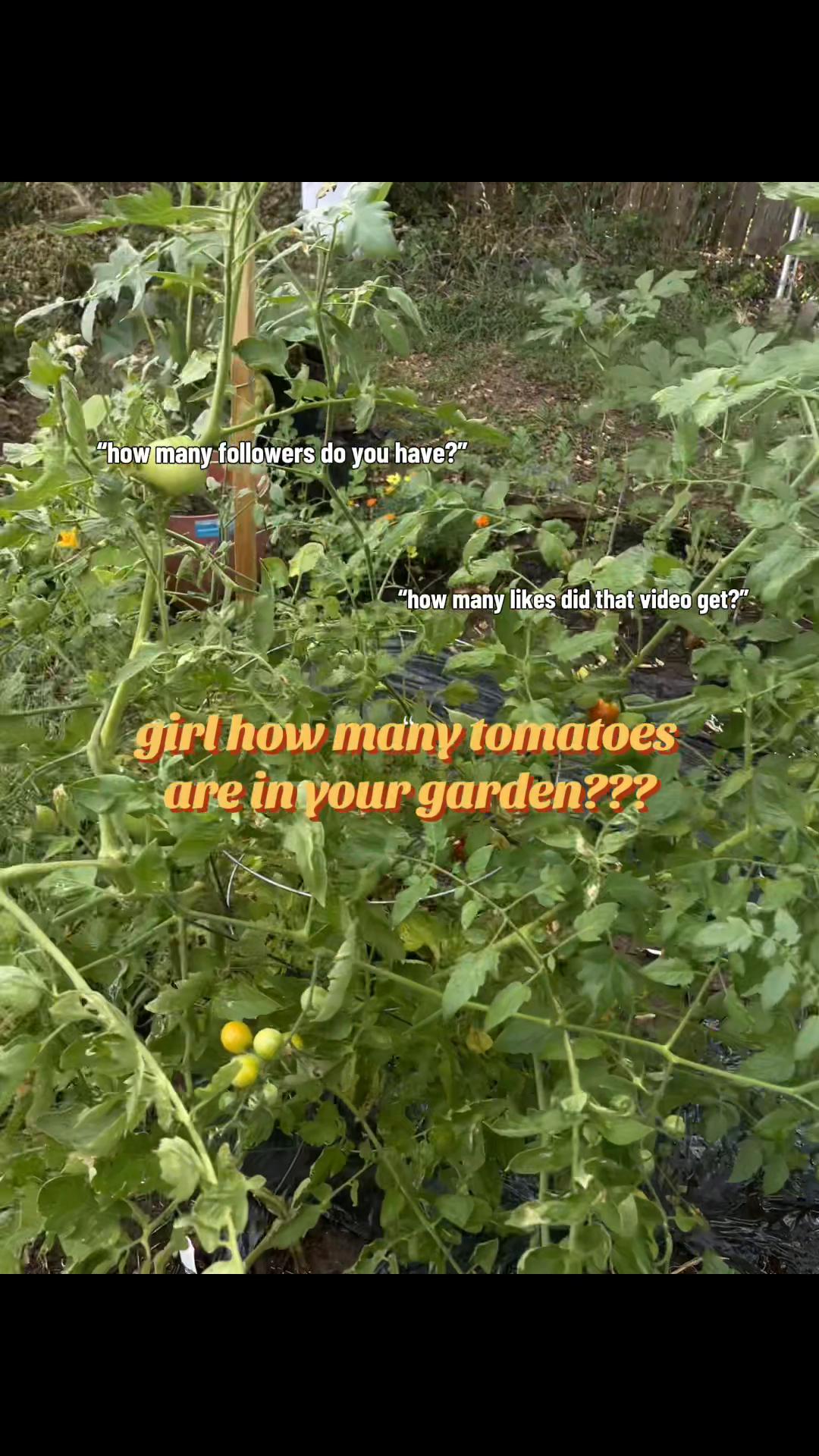 @cherryhexes