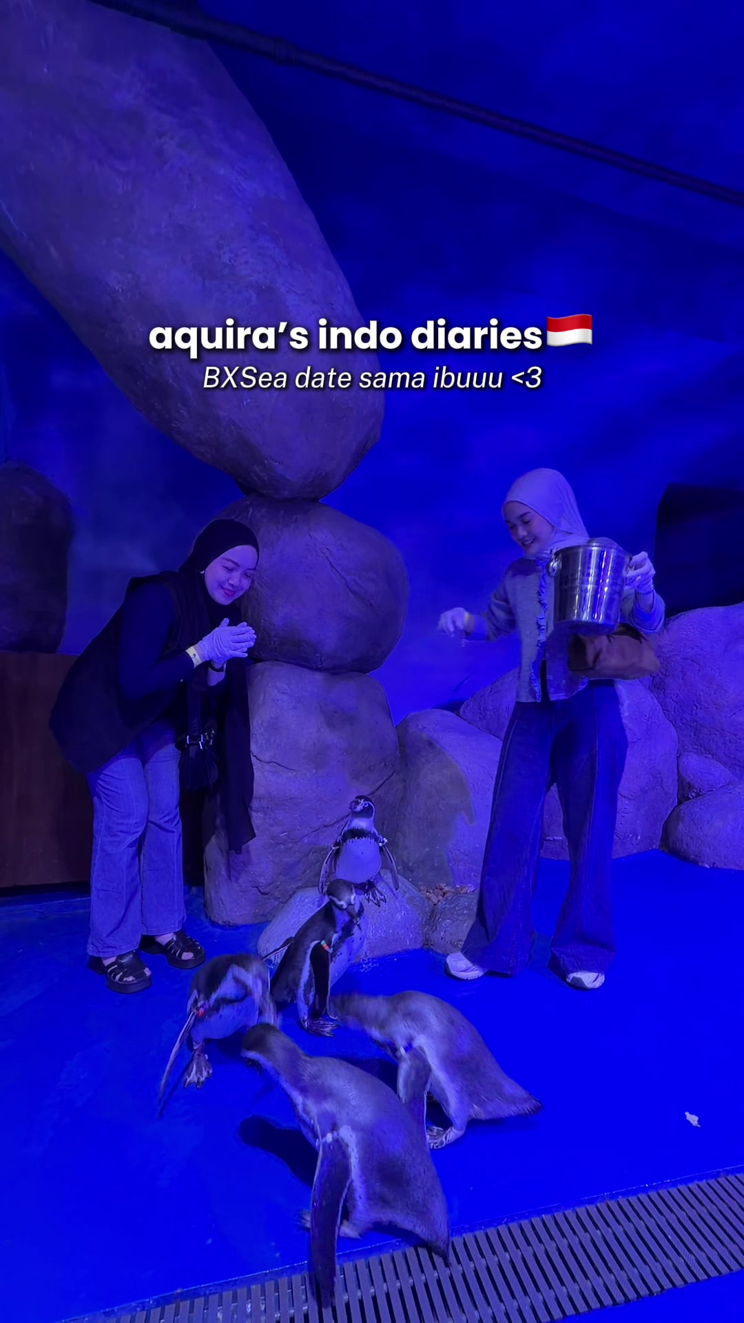 @aquira bellinda