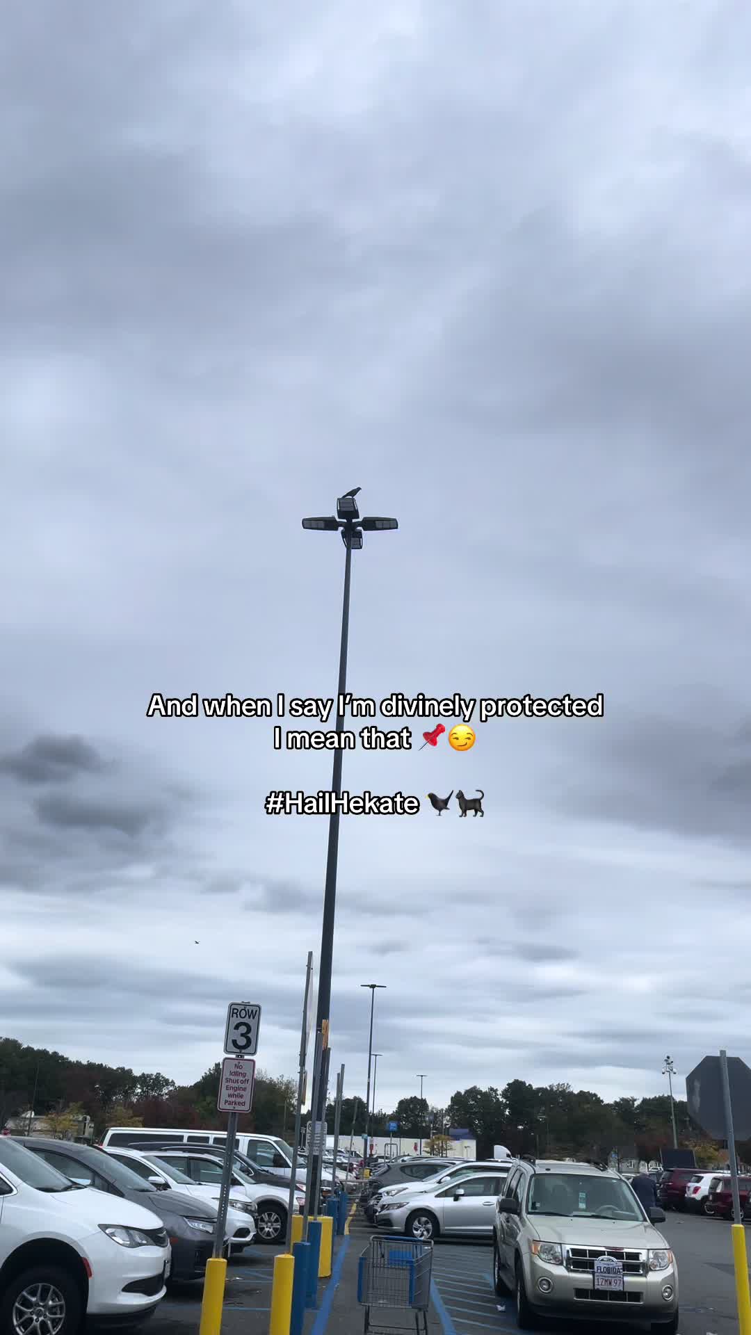 @Crow_VoodooPriestess888