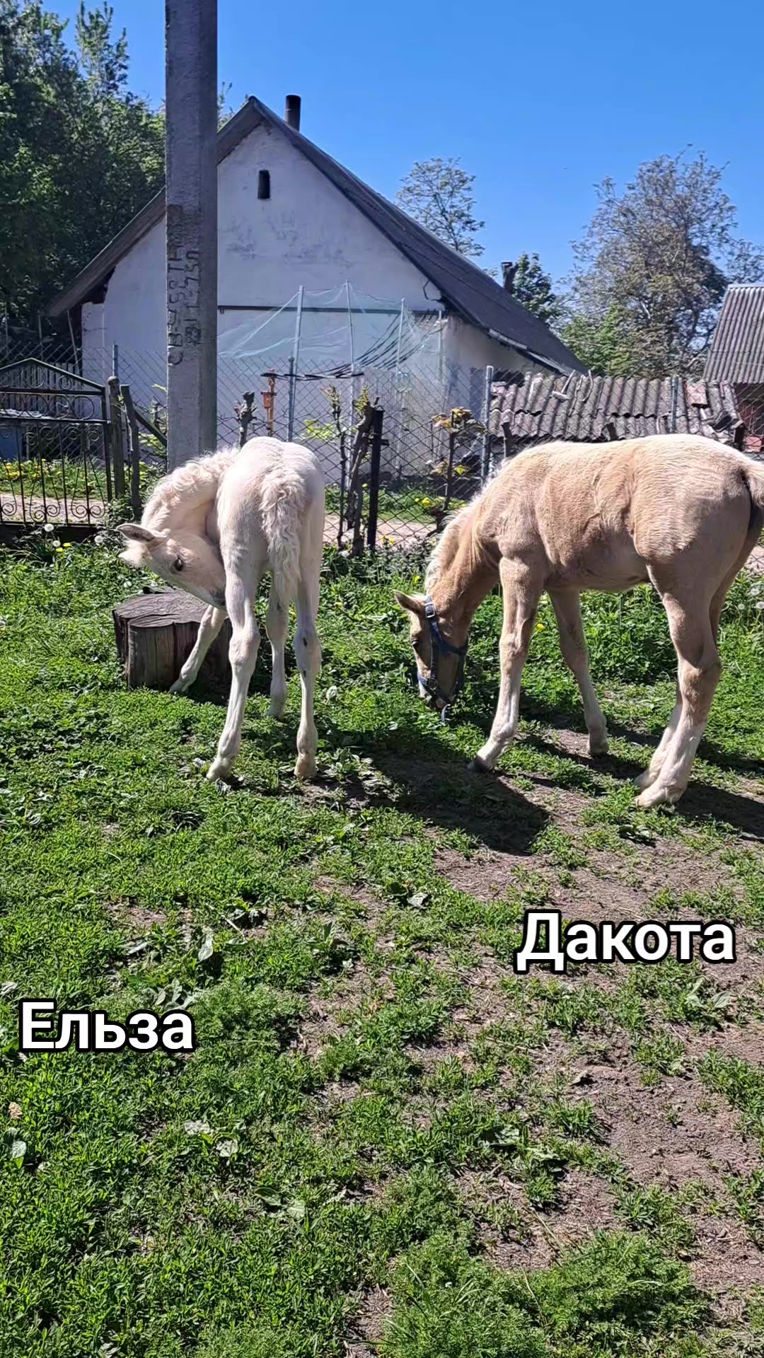 @Катерина Германюк