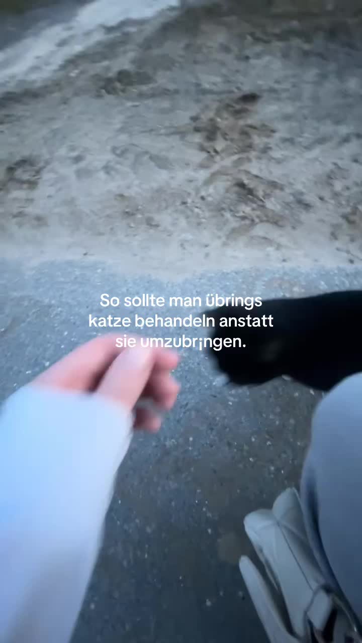 @mira_anymm