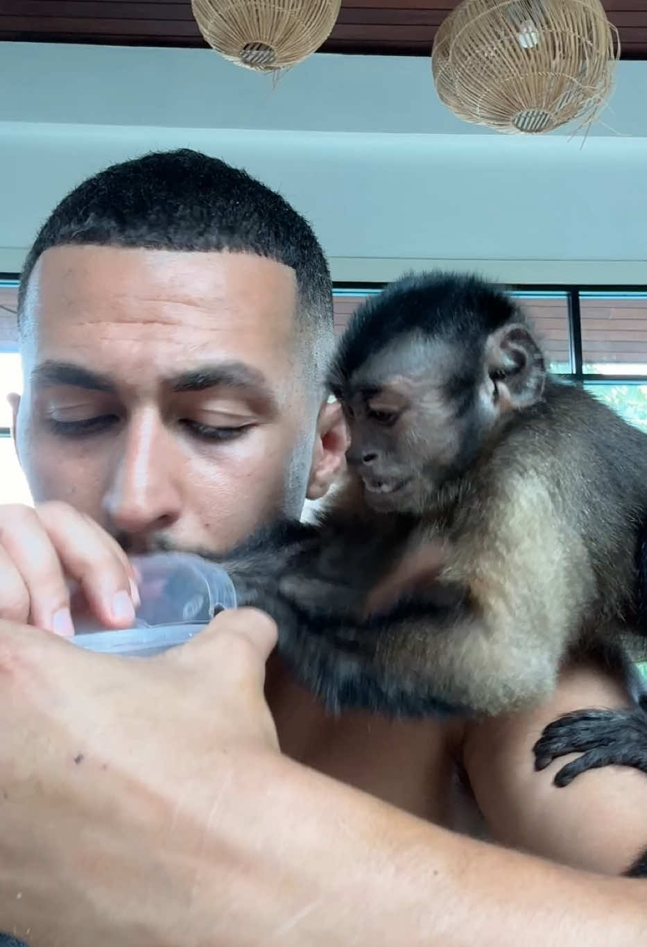 @Tarzane 🦍