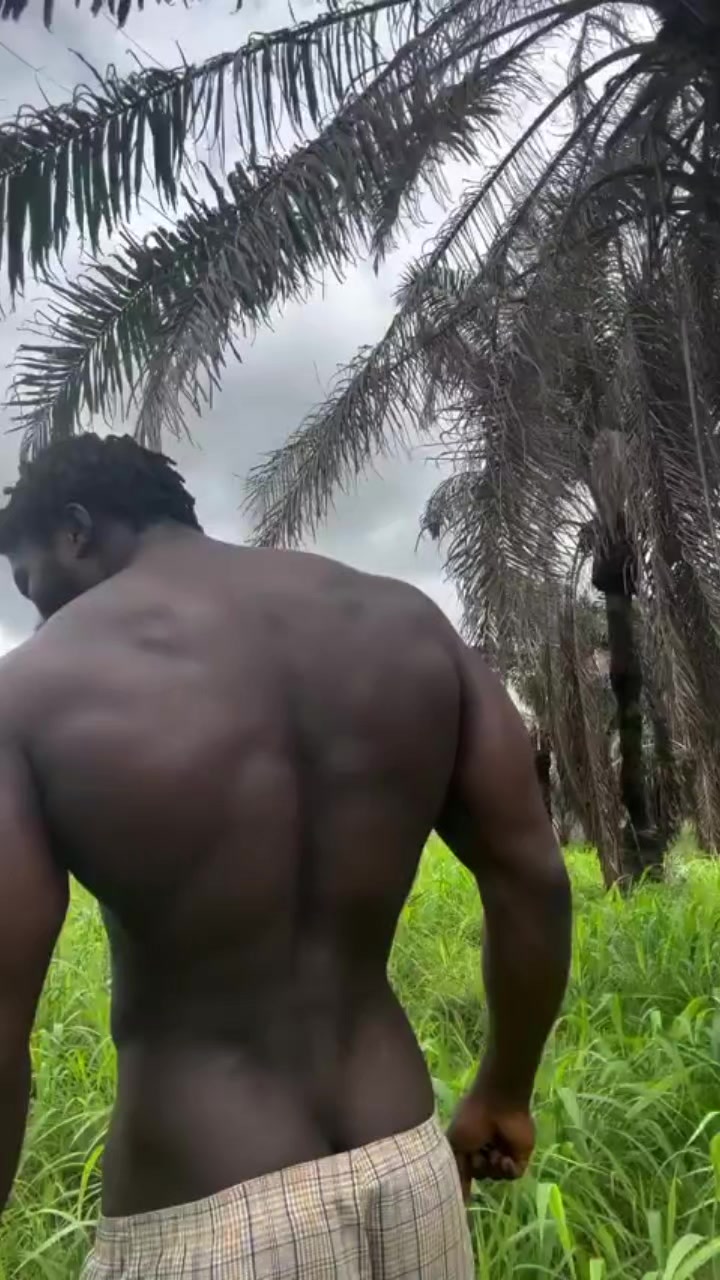 @Meziko Don