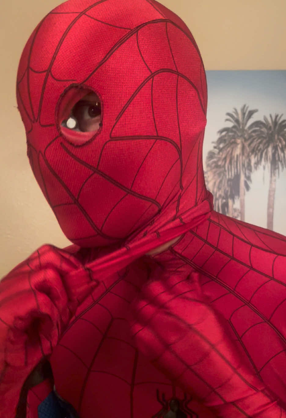 @Fun4spidey