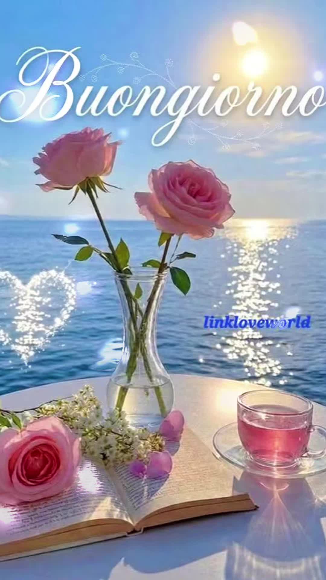@🌞 Fede