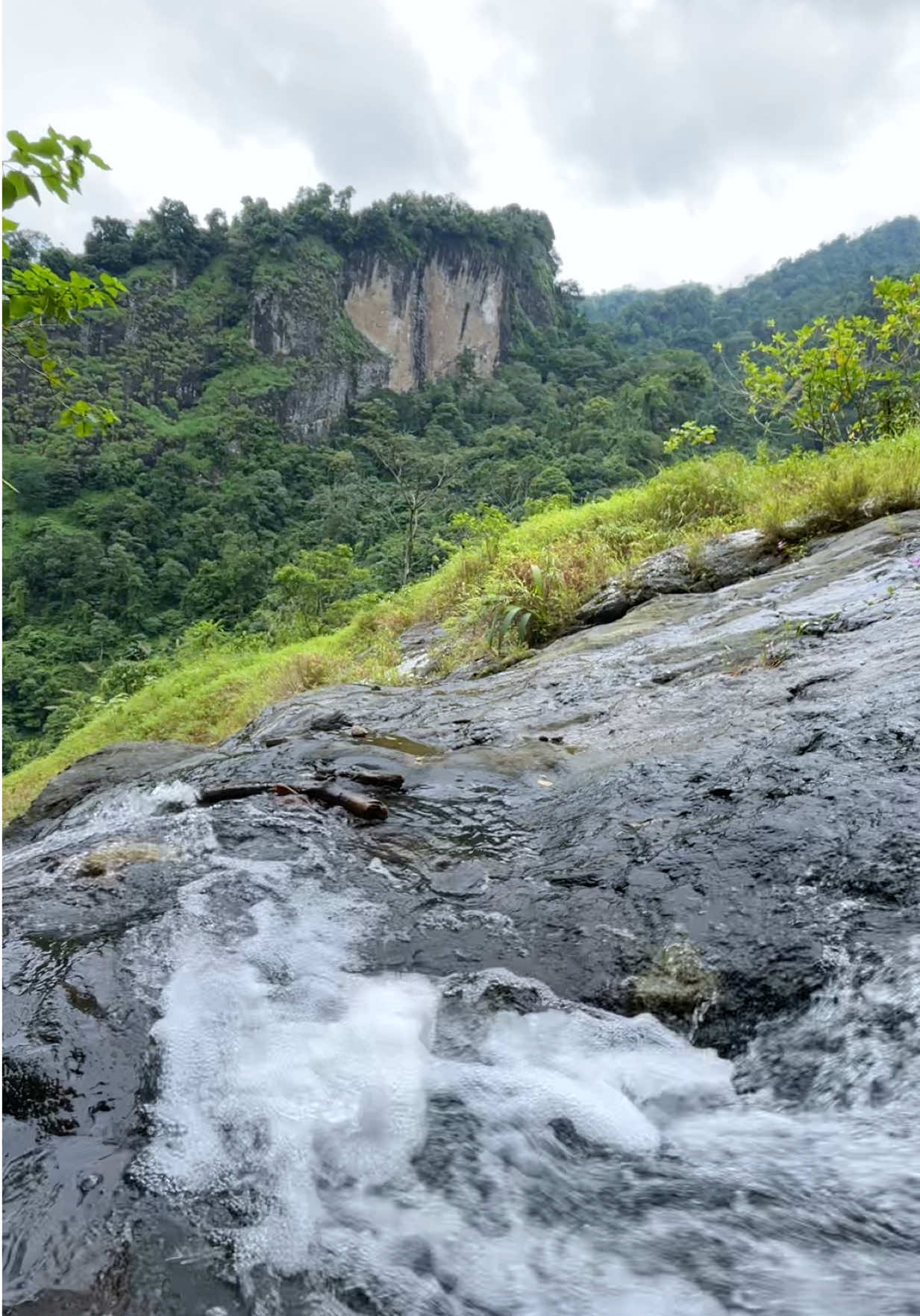 @Purbalingga