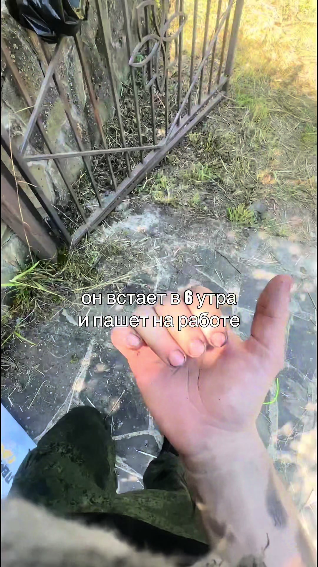 @ариша