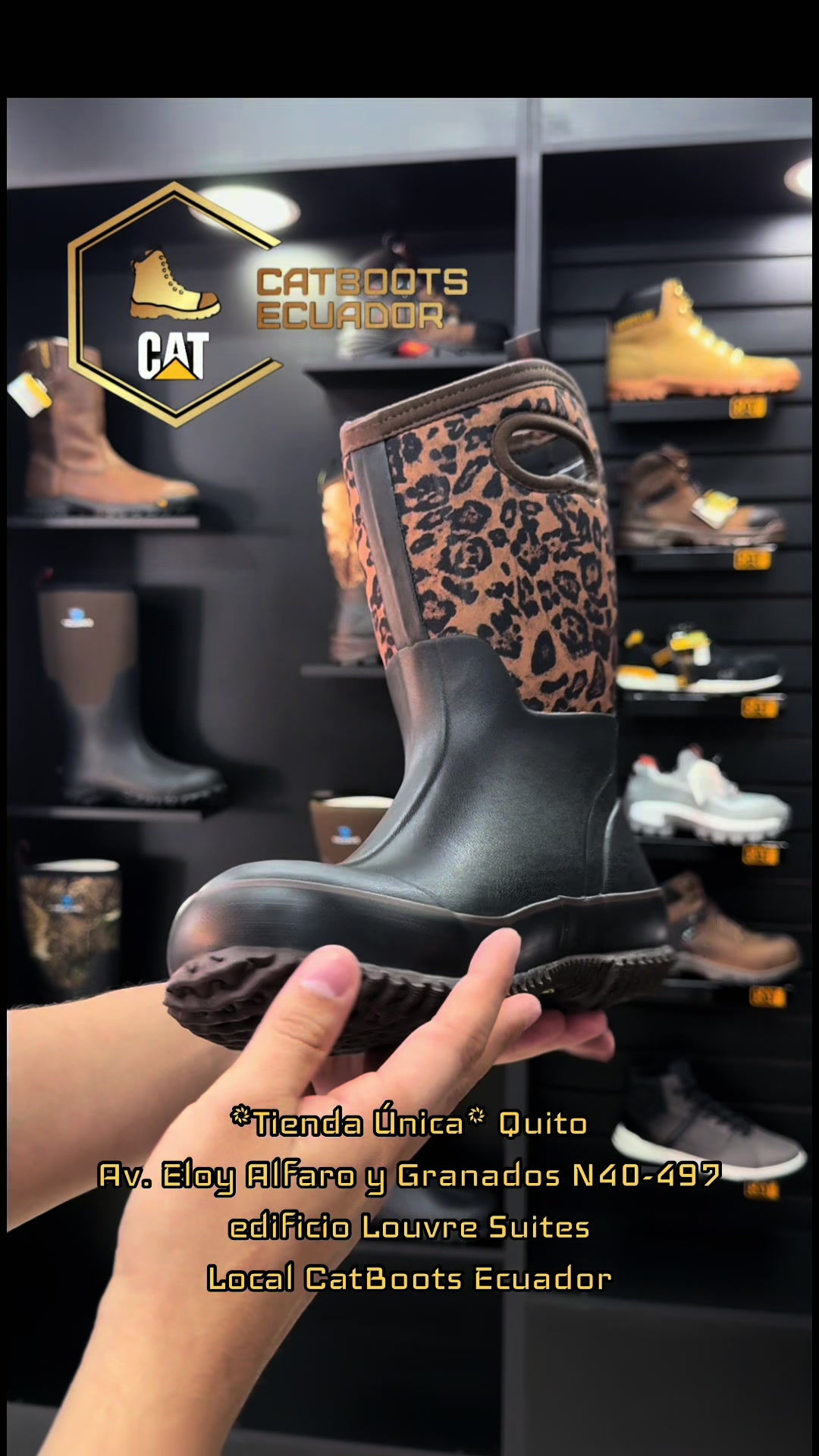 @CatBoots Ecuador 🇪🇨