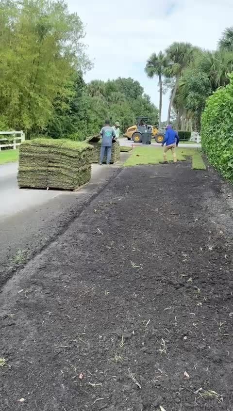 @El sic&oacute;logo de la garza