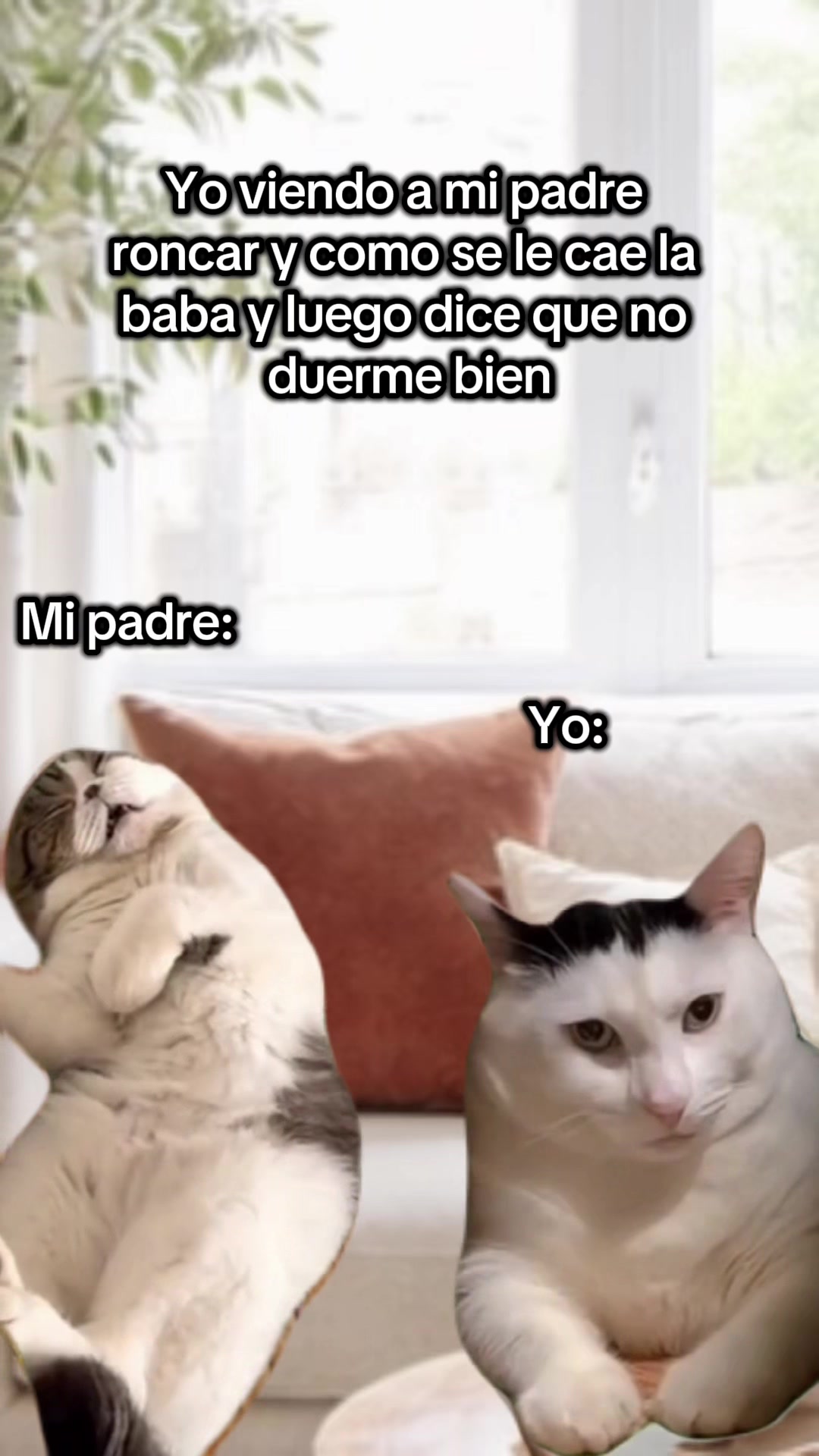 @gesica acosta