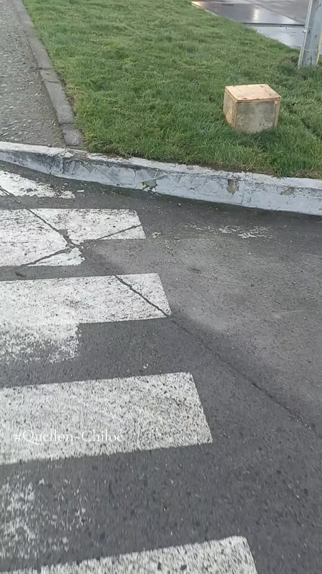 @Joel.parra
