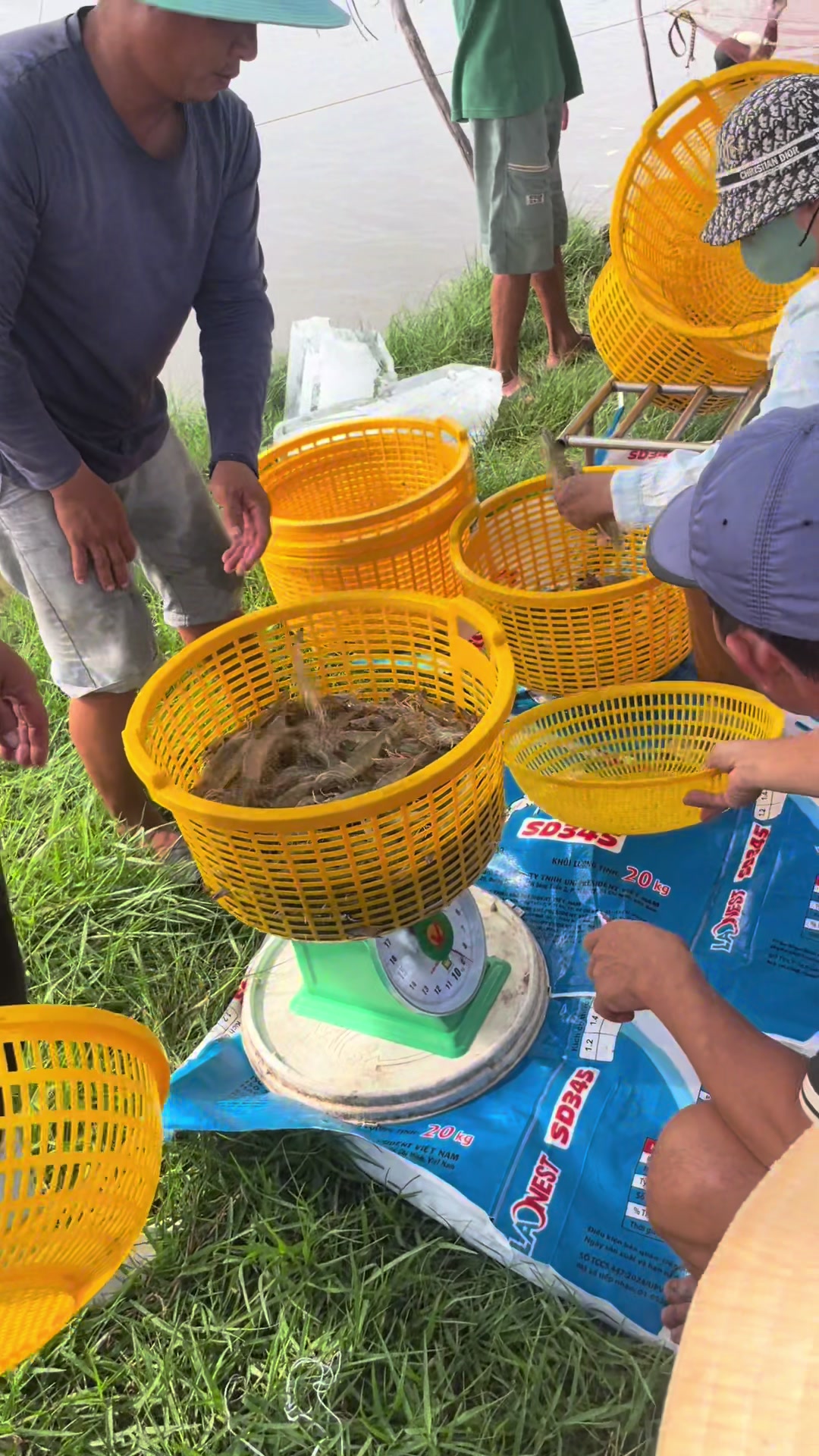 @Duy chở t&ocirc;m 🦐