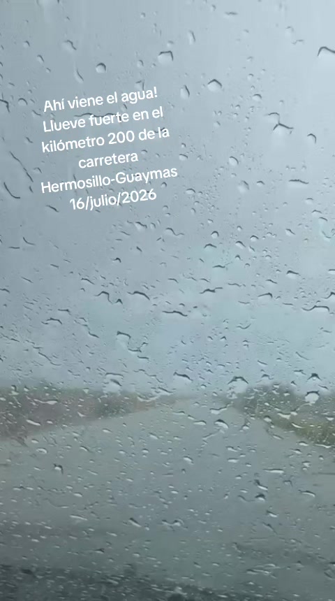 @elportaldelanoticia