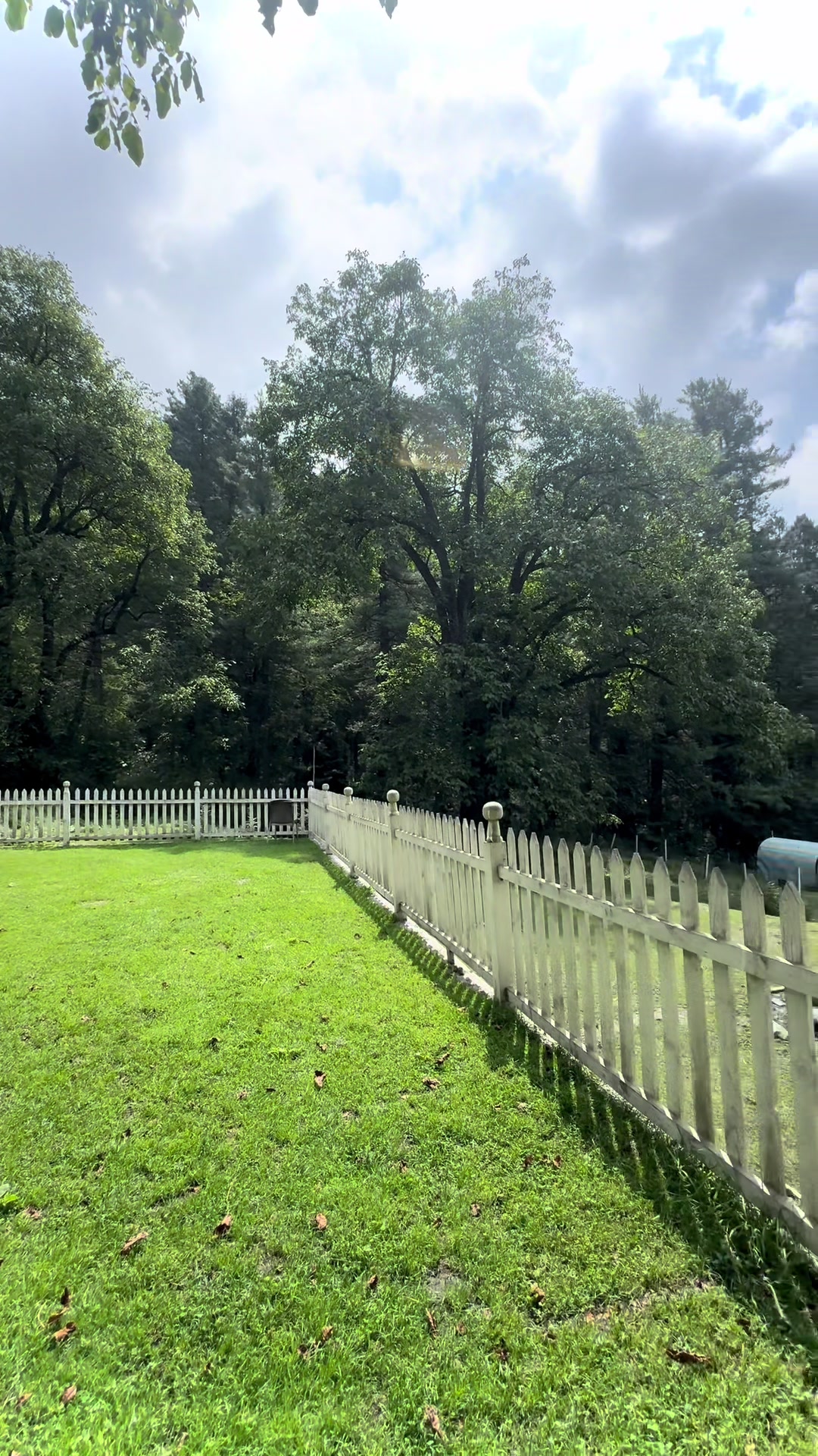 @Shogran Vibes