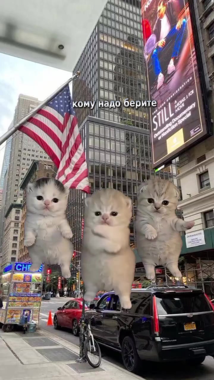 @Репосты