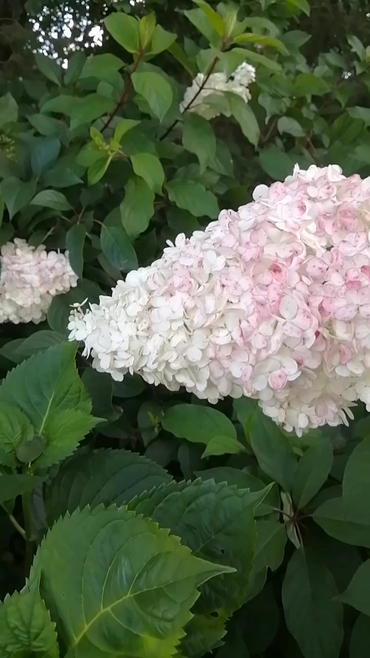 @Татьяна