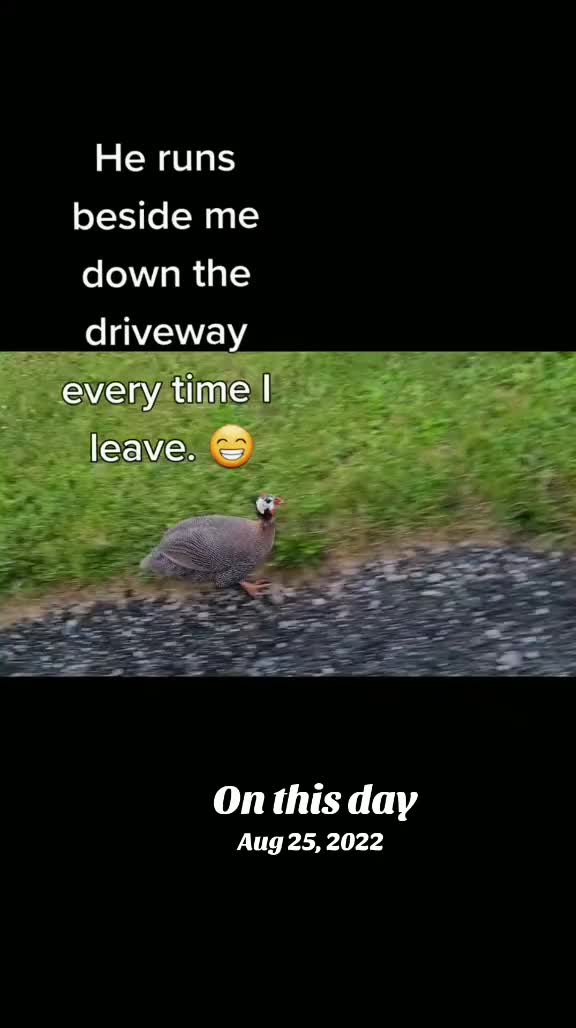 @SnOoP