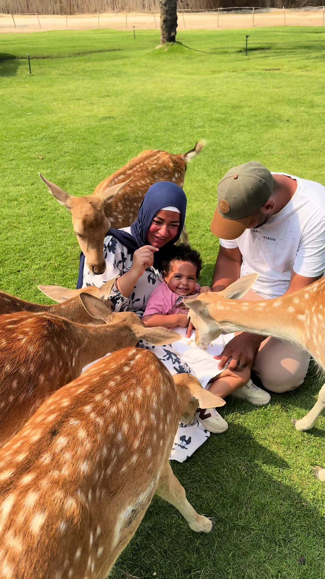 @Alaa Rezk 🦌✨♥️