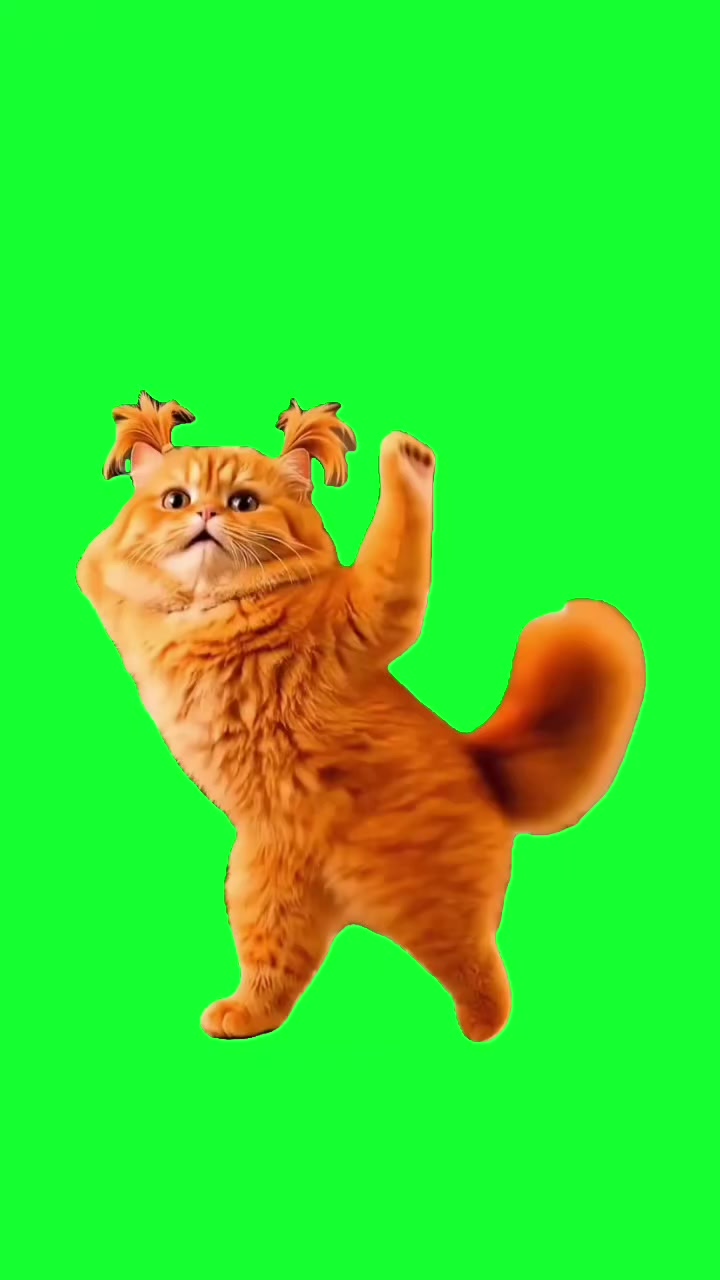 @TikTok Template