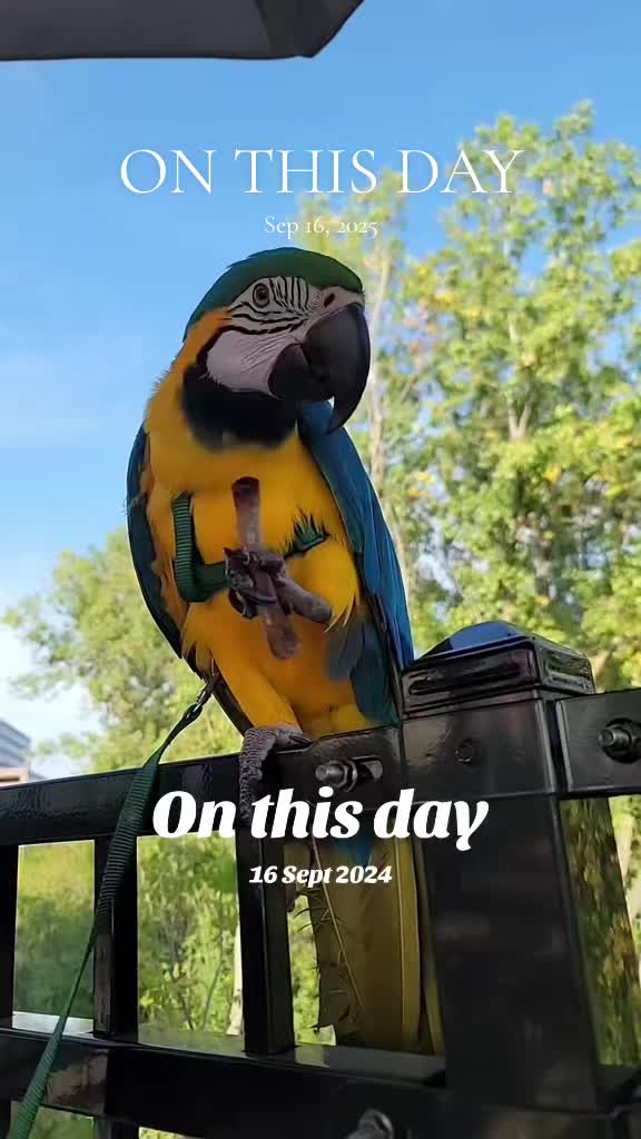 @🕴🏻Heisenbird🐦