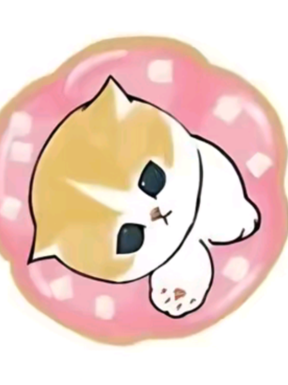 @⋆。˚꒰ঌ 𝖿ᥲᥕᥒ ໒꒱˚