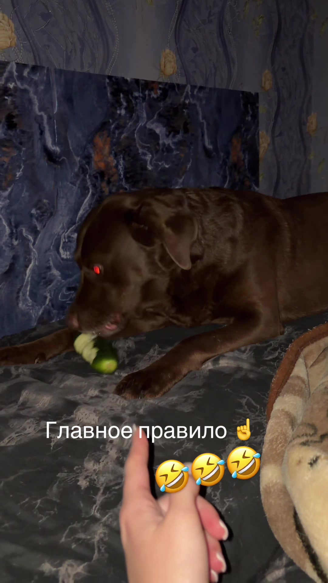 @nadezhdabiryukova