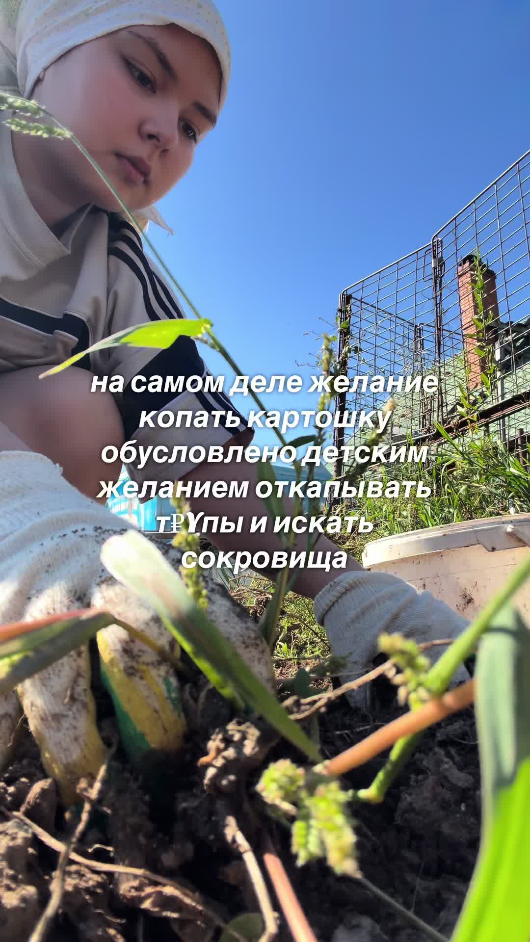 @тгк: AJPS