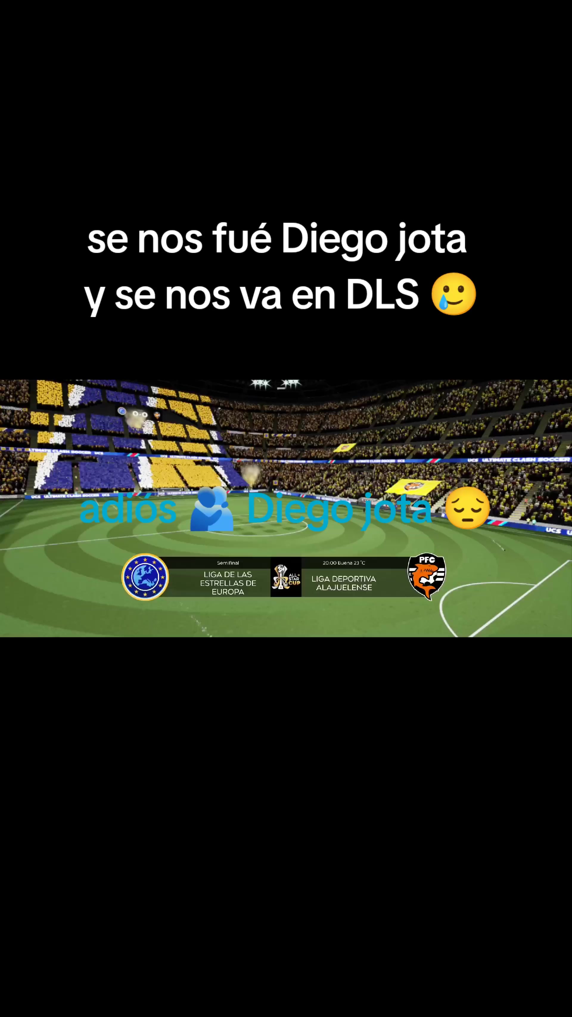 @SIDRA DLS