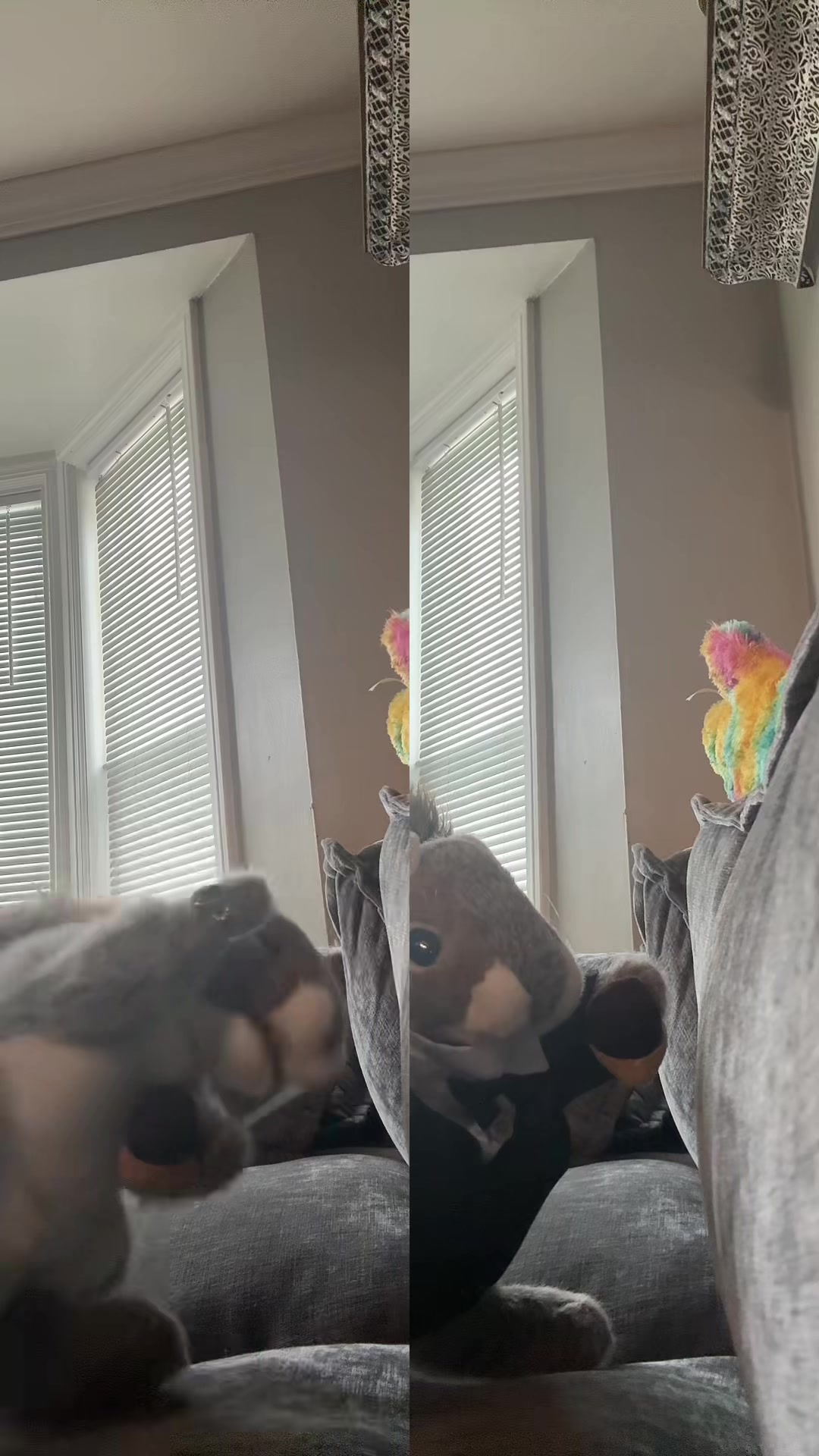 @Apple squirrel