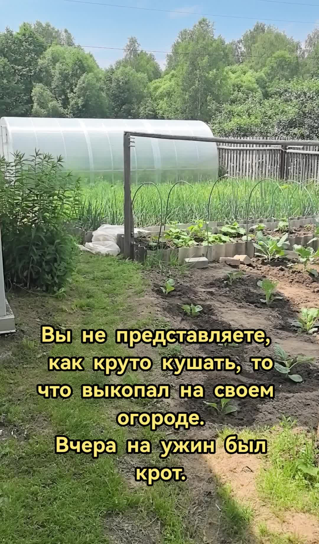 @Деловуха-ха