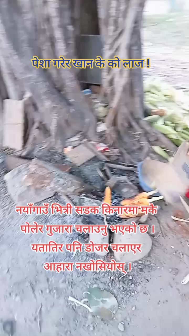 @ajarnews.com