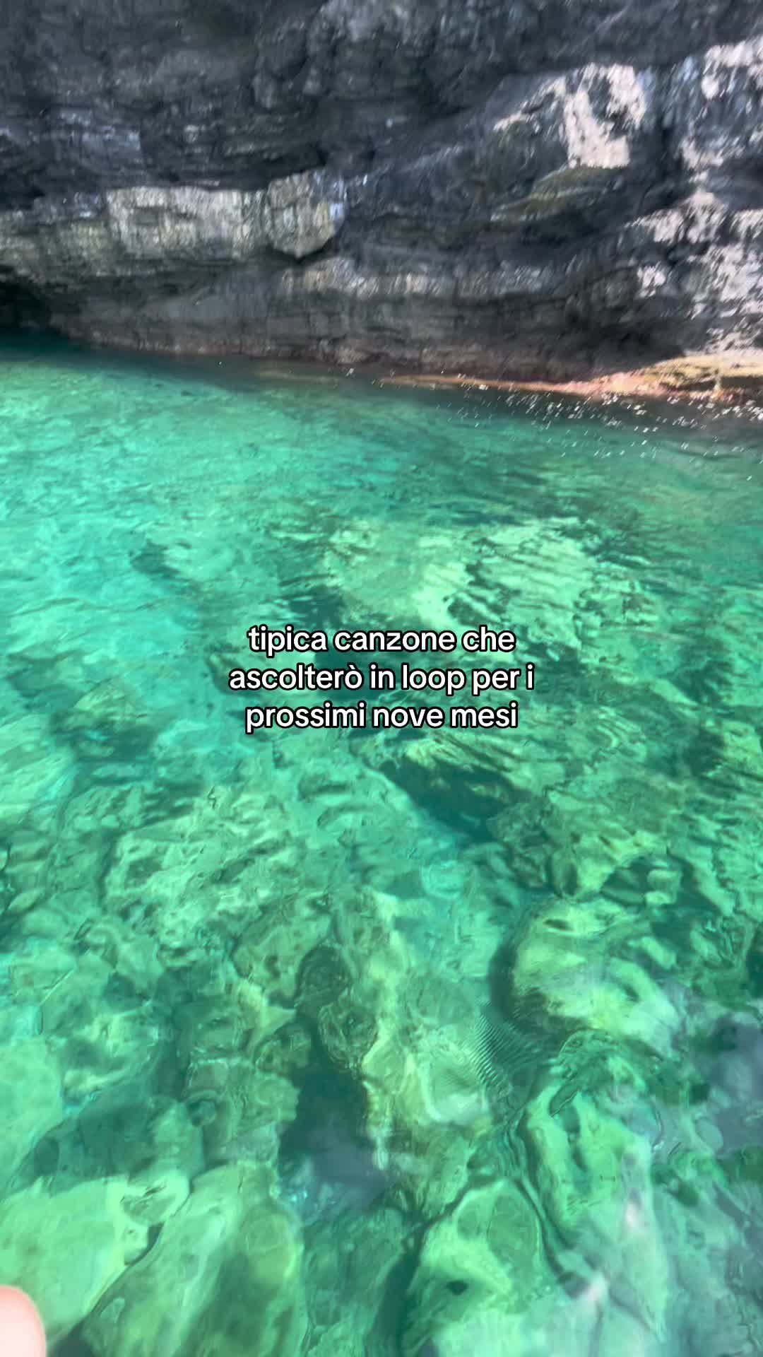 @๐๐ถ๐๐ถ๐ฉท
