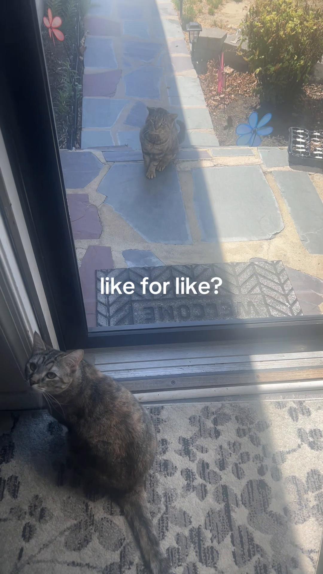@like my reposts