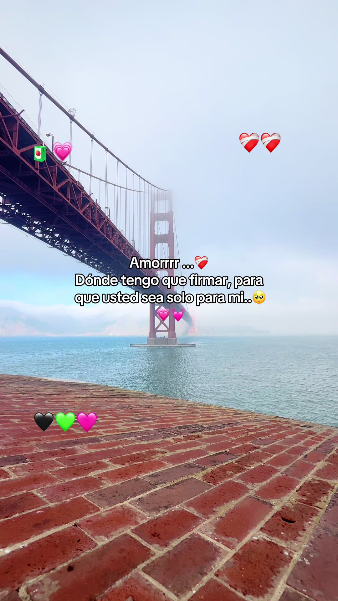 @SoyLionardo_R🐻❤️&zwj;🩹