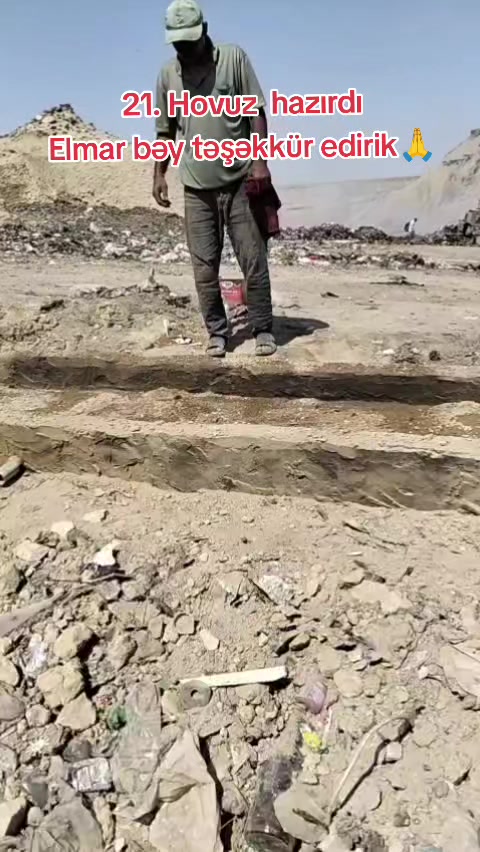 @Sahibsiz heyvanlara dəstək