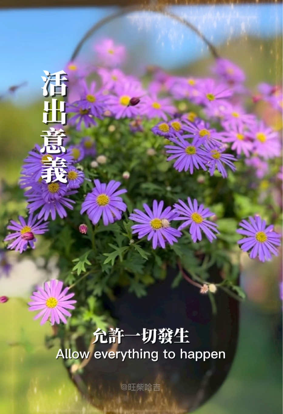 @能量姐