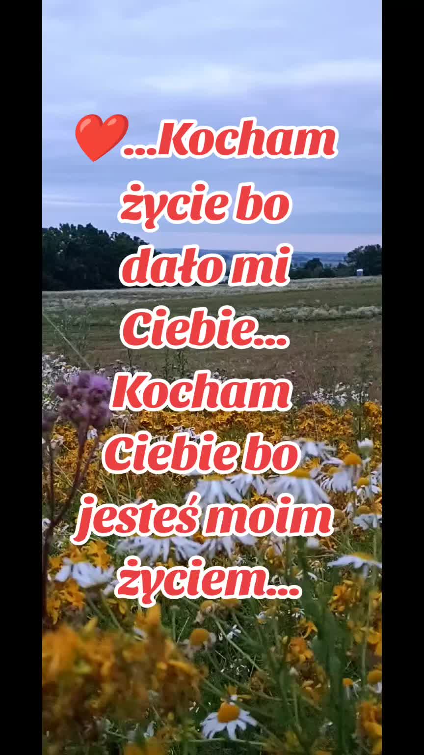 @bartek_marek
