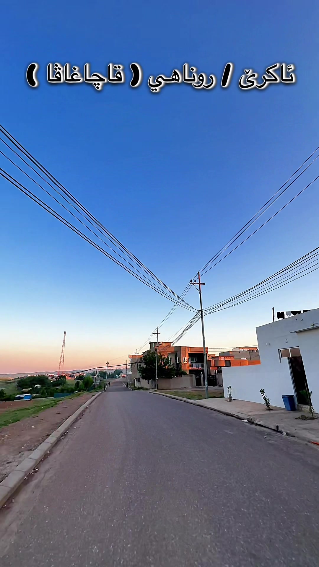 @﮼جاف﮼كه ﮼سك