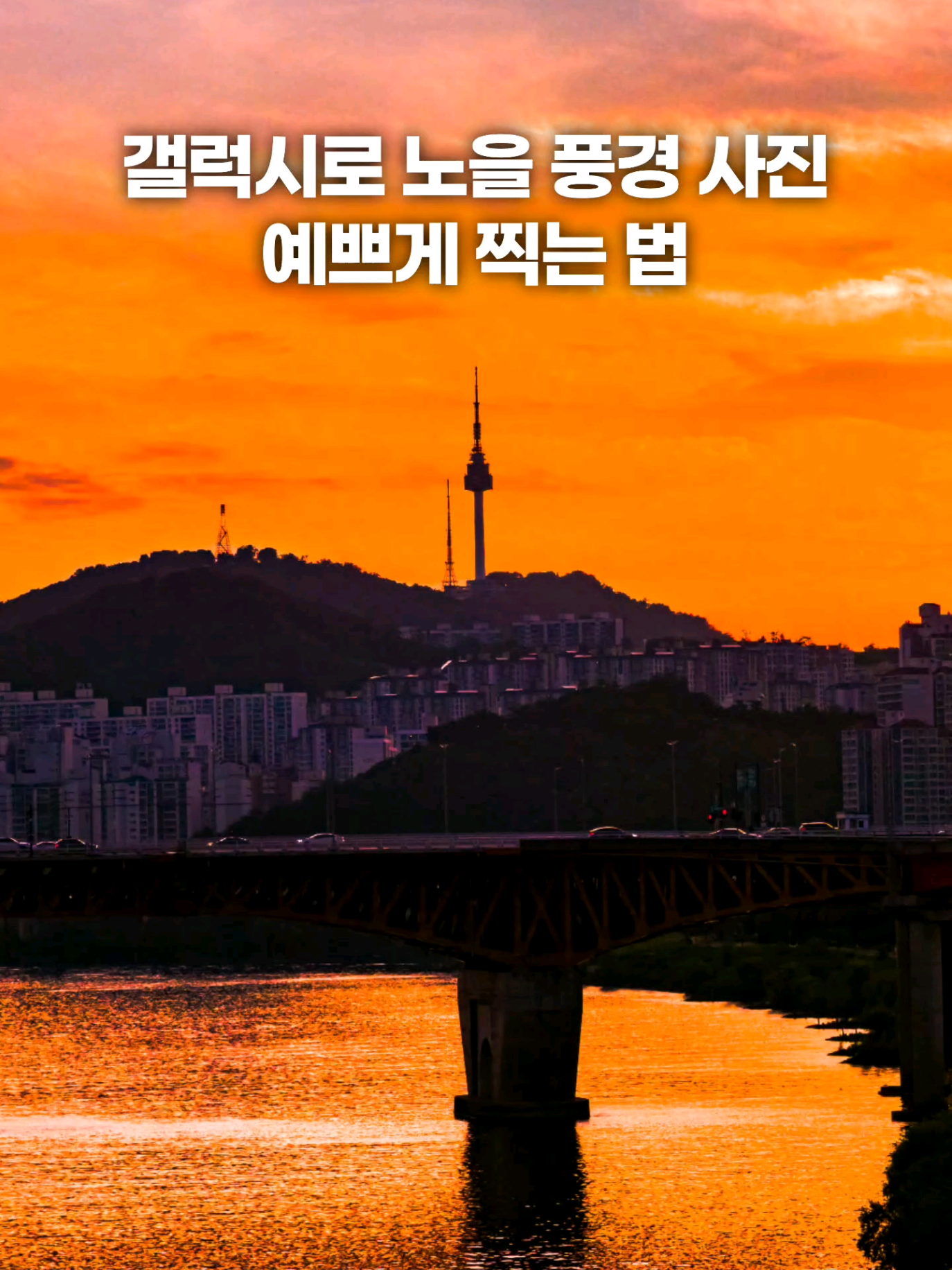 @주니웨어 주니