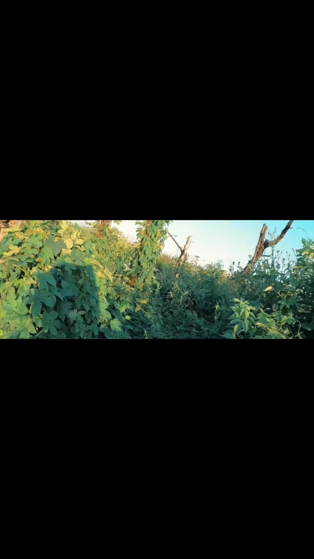 @A3OB 🇺🇸🇺🇦🇦🇺🇰🇷