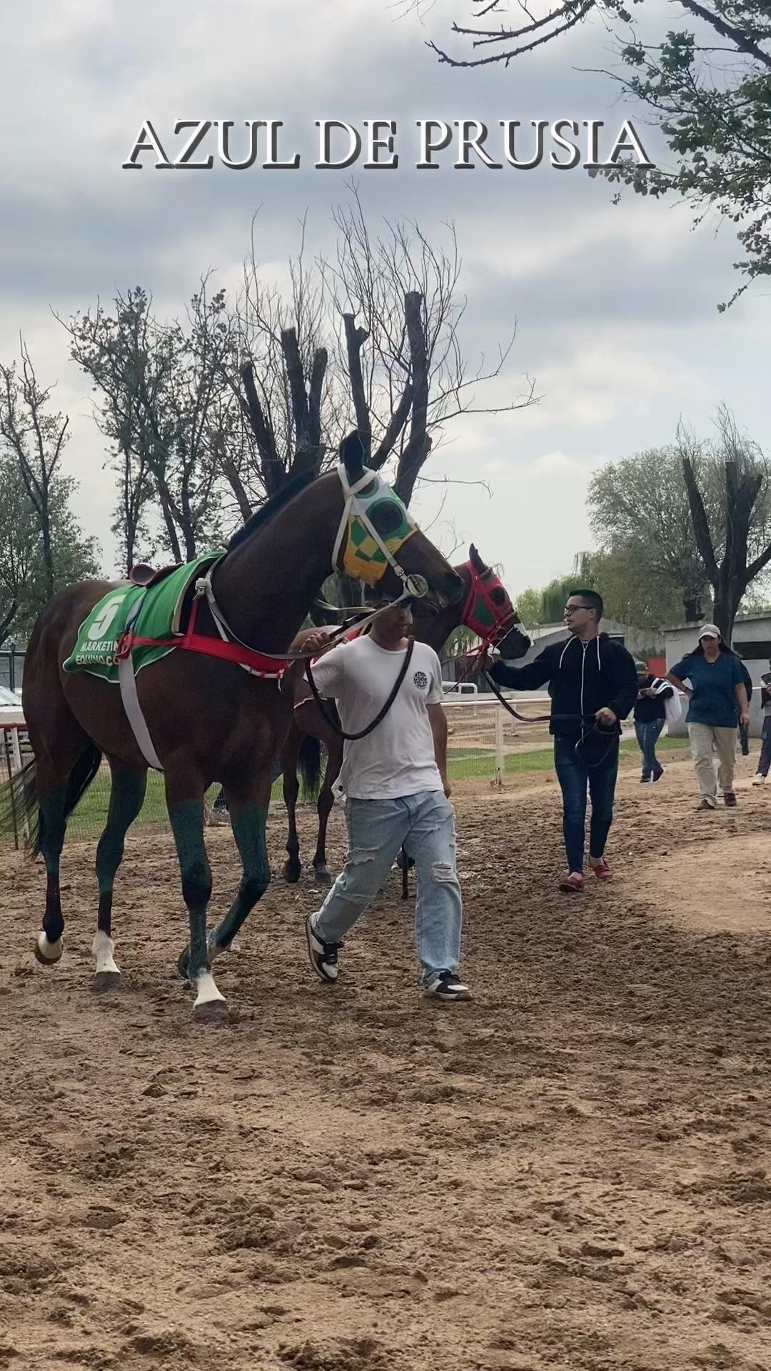 @Sofii Brito🏇🏽