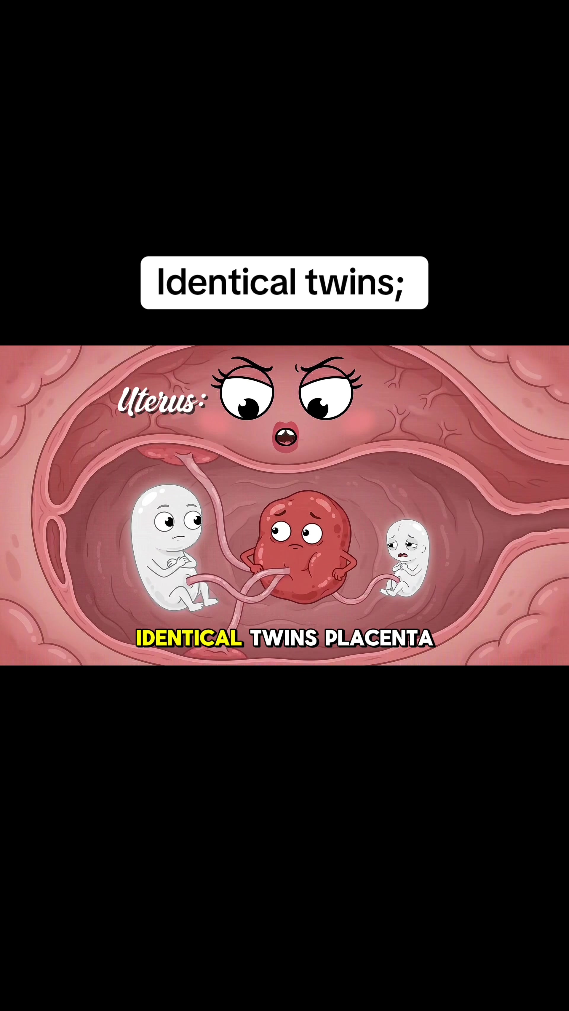 @smartdoctor