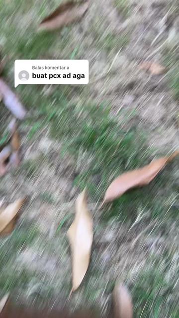 @Mas Adi