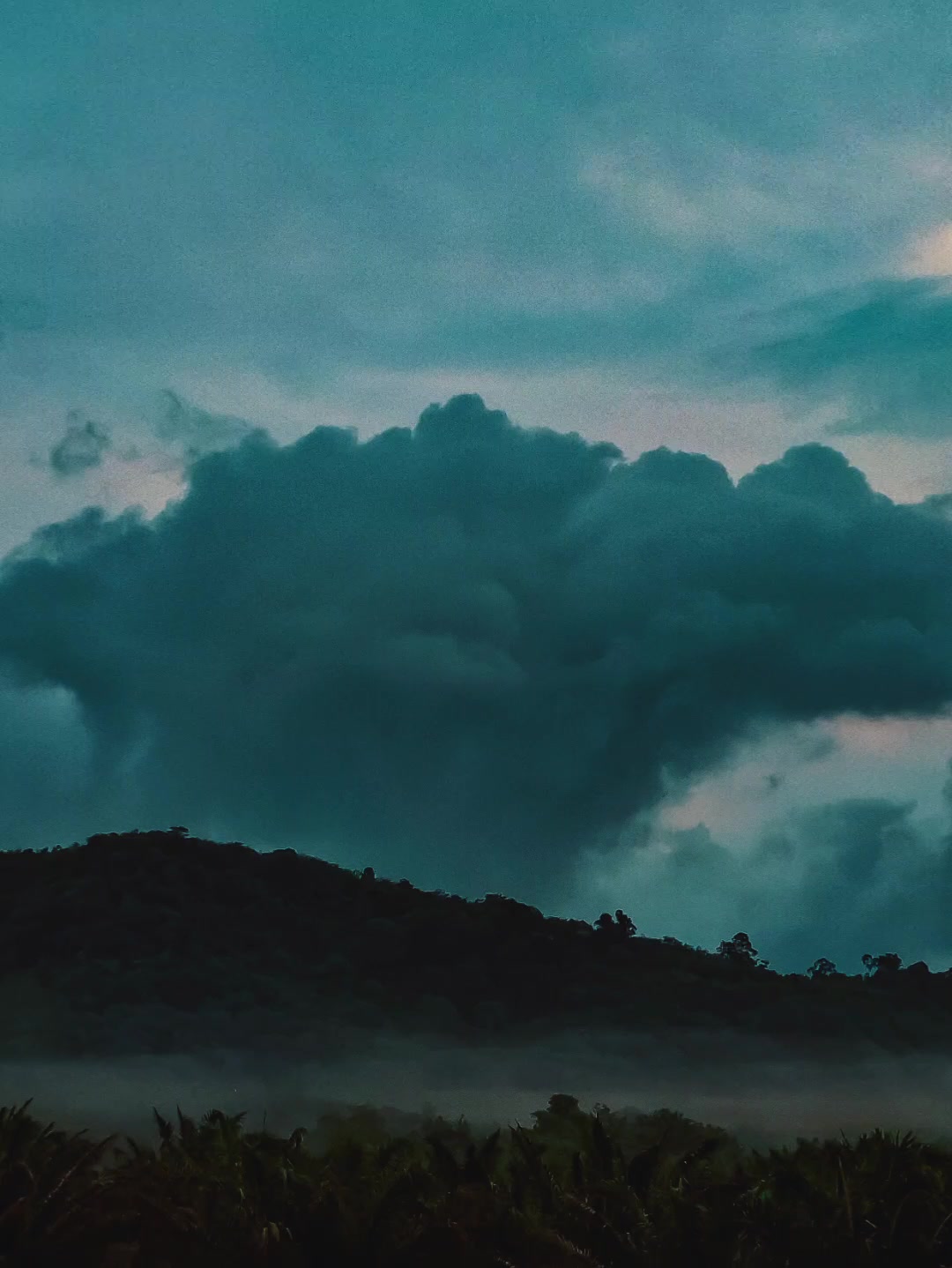 @𝓜𝓻.𝓜𝓪𝔁𝓑𝓮𝓮𝓷✞