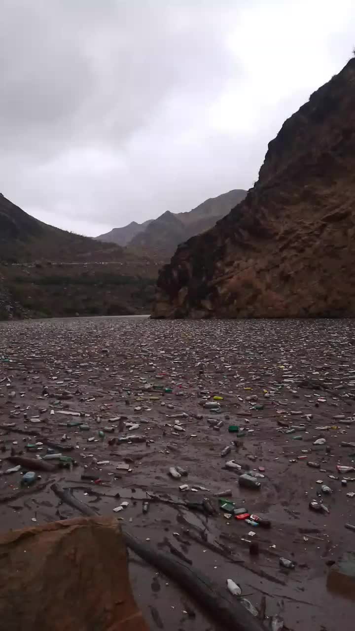 @ramazangorec_
