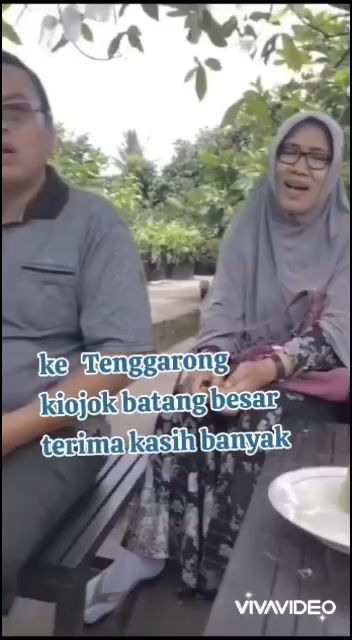 @Bibit khusus samarinda
