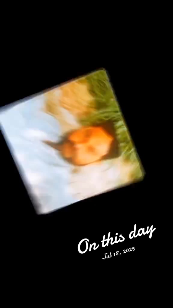 @آرائیں محکمہ پینڈاوالے 🔥🔥 02
