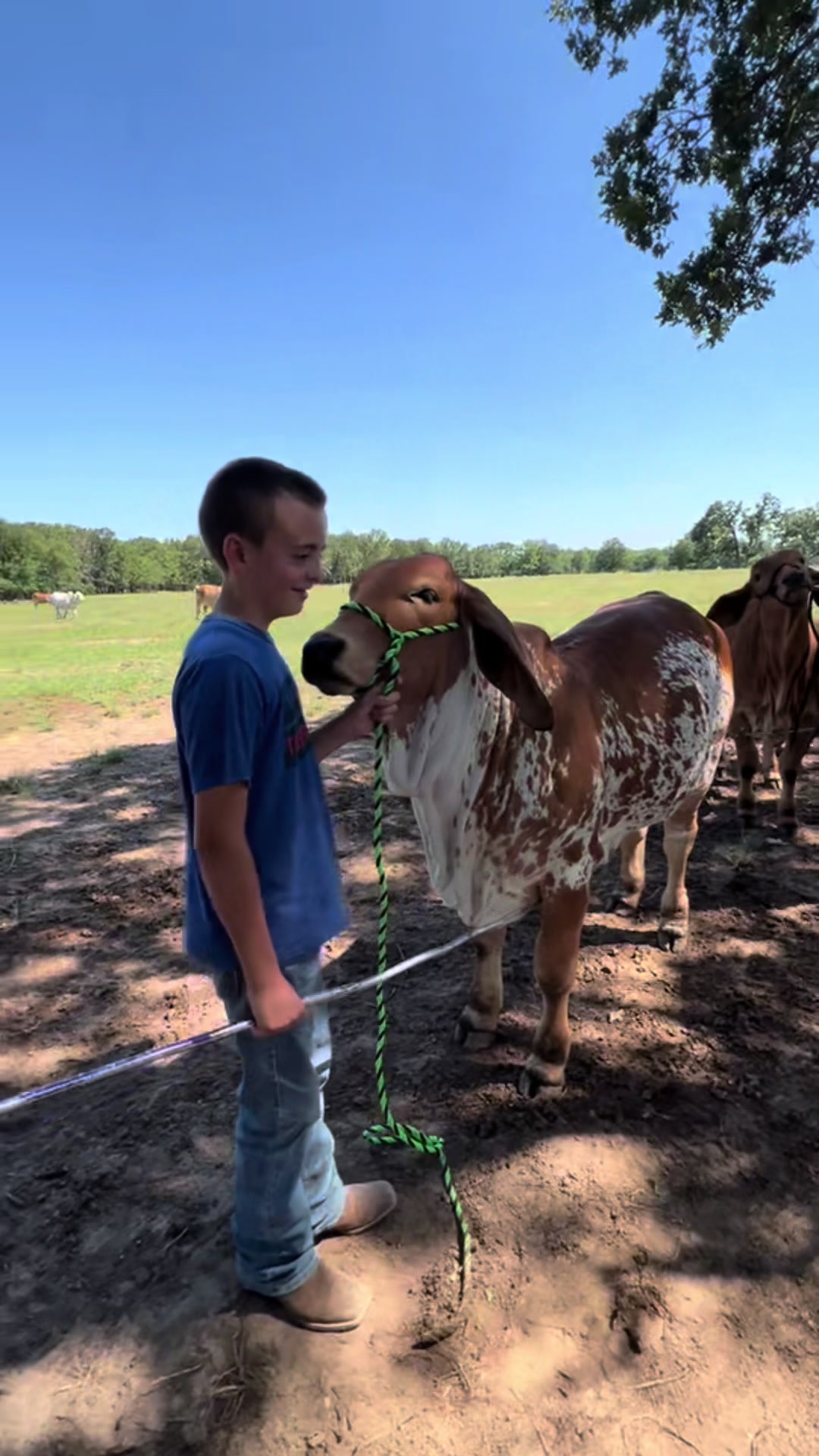 @The V6 Ranch