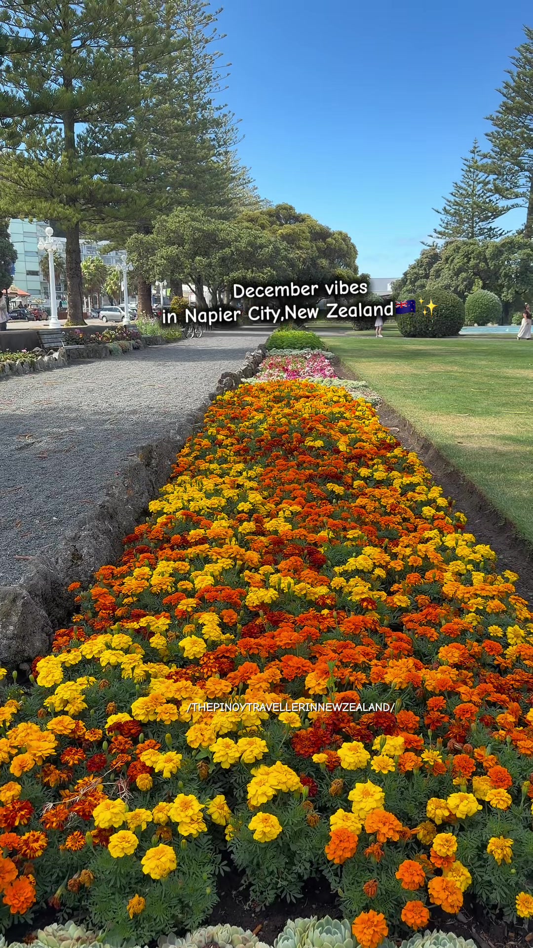 @Pinoy Traveller in New Zealand